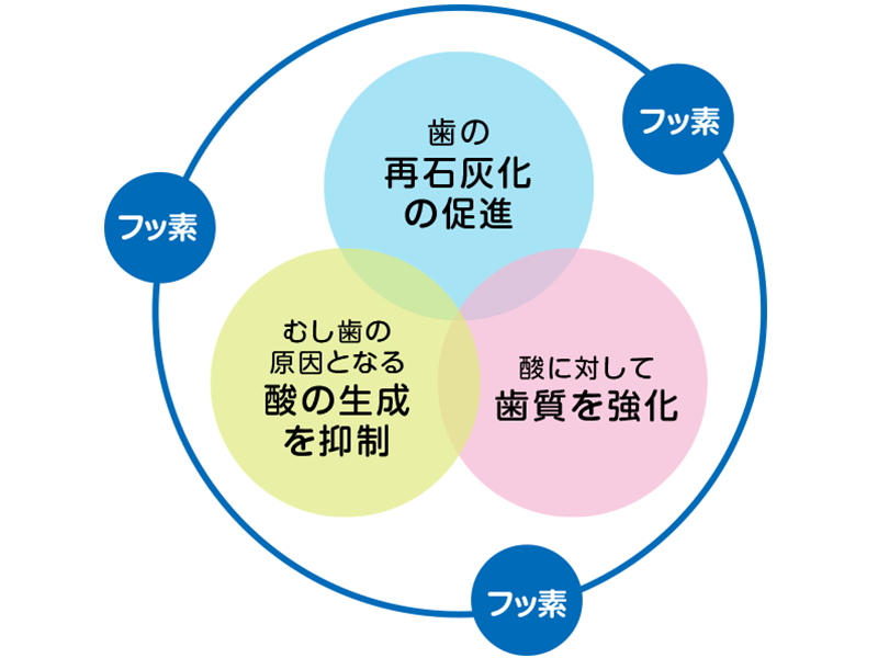 フッ素の効果